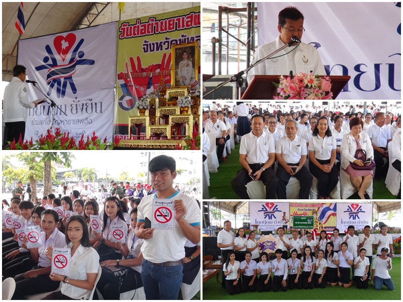 Mol-Thailand