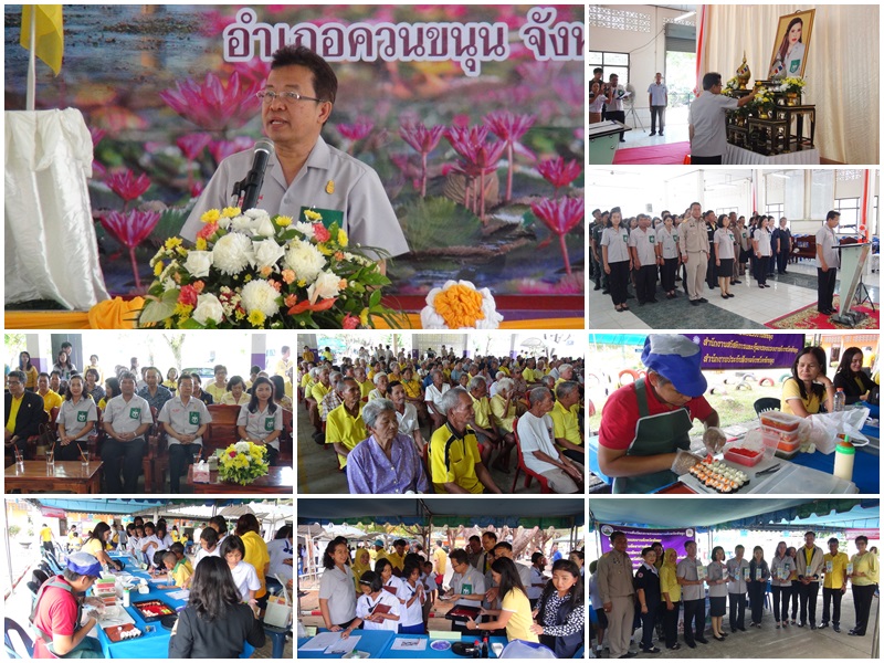 Mol-Thailand