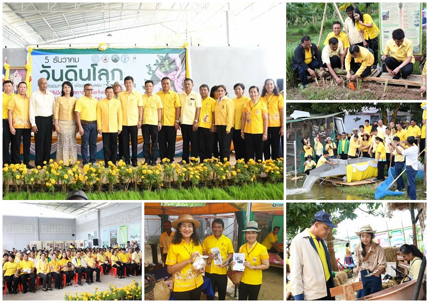 Mol-Thailand